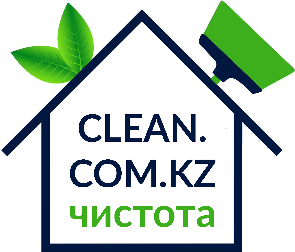 Cleaning Almaty